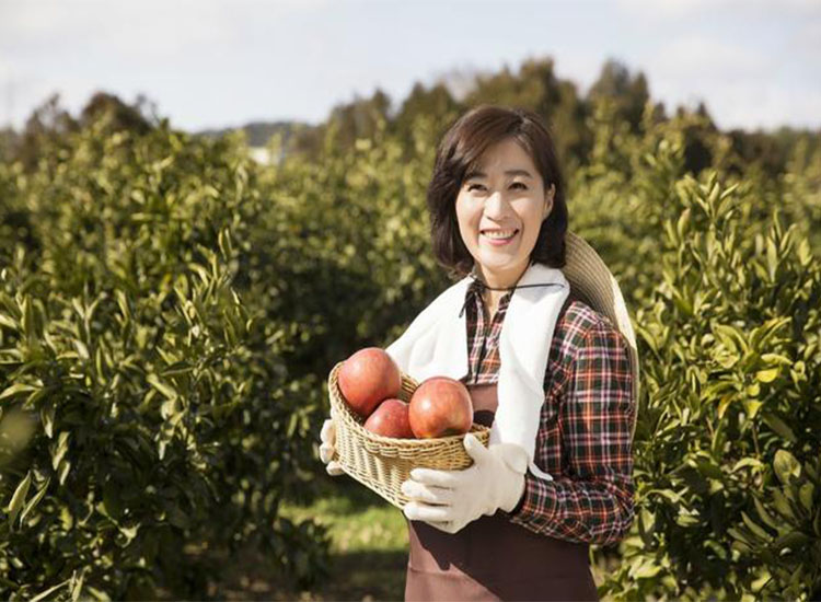 【潤康】磨煤機(jī)磨輥與您分享：互聯(lián)網(wǎng)巨頭紛紛賣菜，農(nóng)民會(huì)不會(huì)被“割韭菜”？