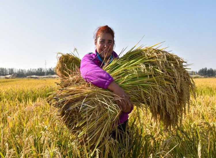 1602568667271788.jpg 未標(biāo)題-1-11111.jpg